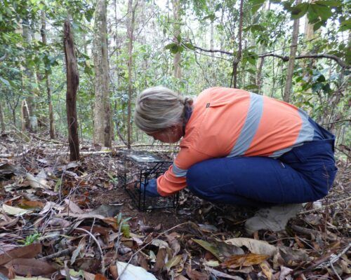 ecological-services-sunshine-coast1