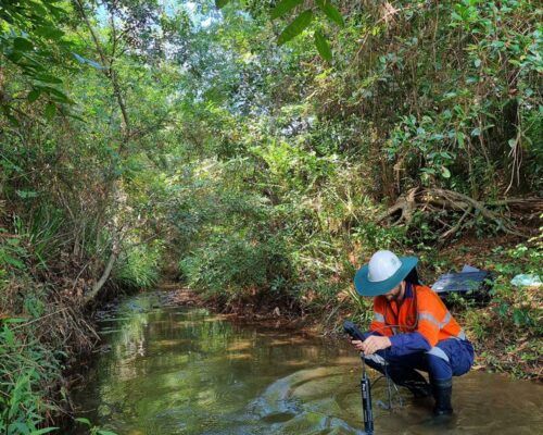 ecological-services-sunshine-coast11