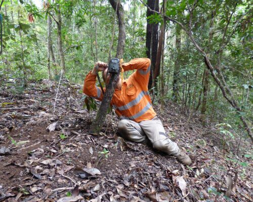 ecological-services-sunshine-coast2