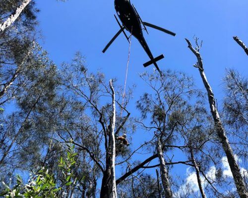 ecological-services-sunshine-coast5