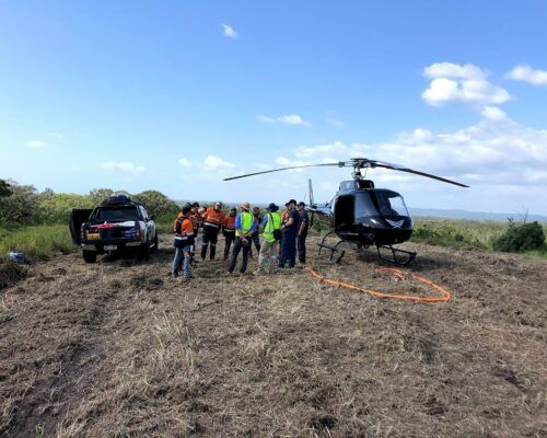 ecological-services-sunshine-coast6